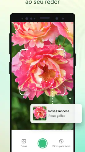 Plant Parent-Guia de Cuidados screenshot