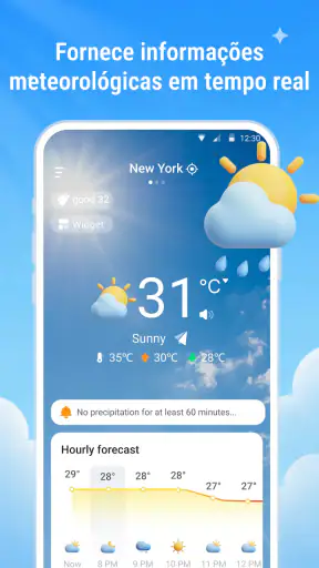 Previsão Diária do Tempo screenshot