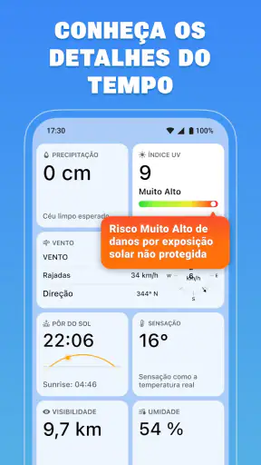 Rã do Tempo: Previsão do Tempo screenshot