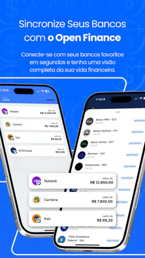 Saldo Positivo - Despesas screenshot