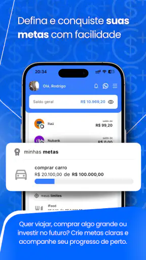 Saldo Positivo - Despesas screenshot