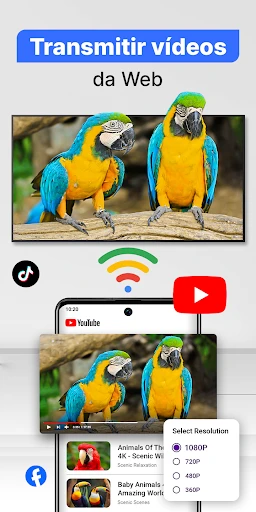 Smart TV Cast para Chromecast screenshot