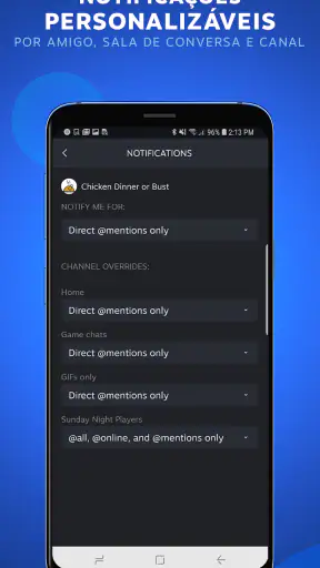 Steam Chat screenshot