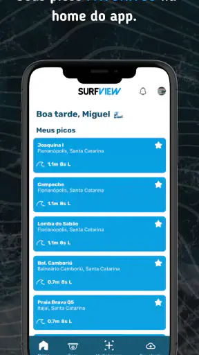 SurfView screenshot