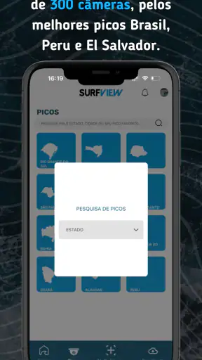 SurfView screenshot