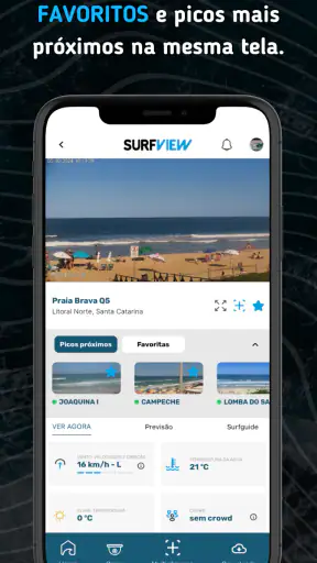 SurfView screenshot