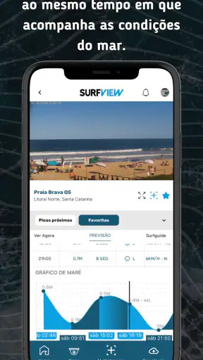 SurfView screenshot