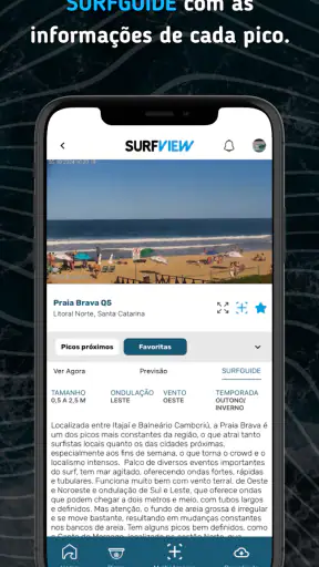 SurfView screenshot