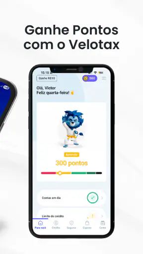 Velotax screenshot
