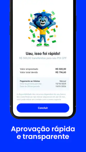 Velotax screenshot