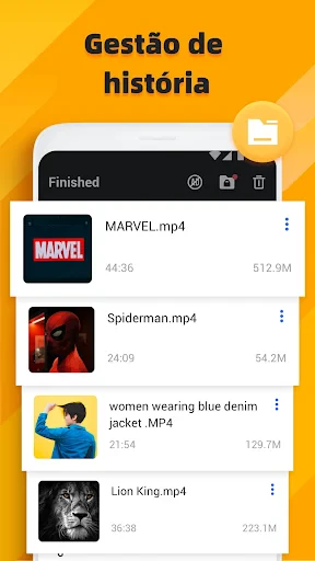 Video downloader screenshot