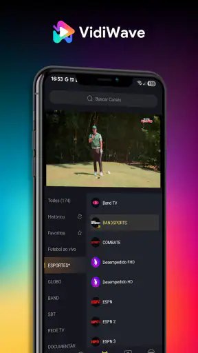 VidiWave screenshot