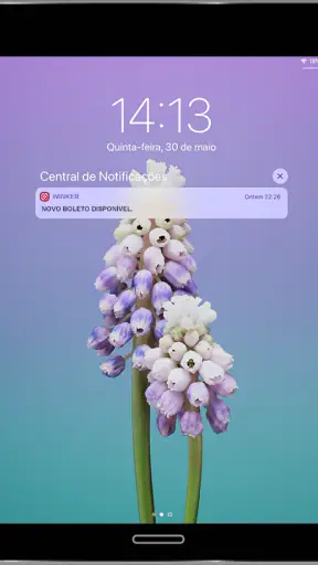 Winker screenshot
