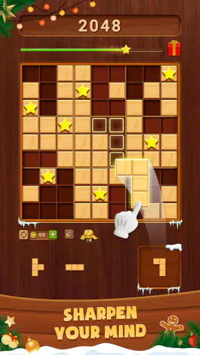 Wood Block: Block Puzzle screenshot