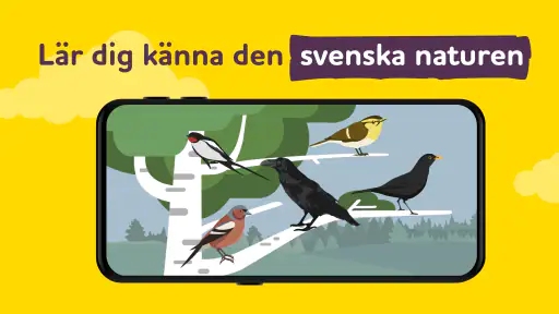 ALPA kunskapsspel på svenska screenshot