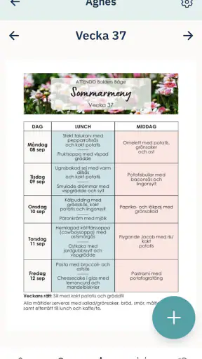 Attendo Nära screenshot