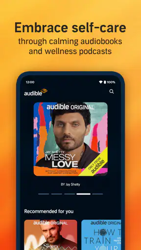 Audible screenshot