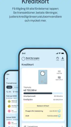 Bank Norwegian screenshot
