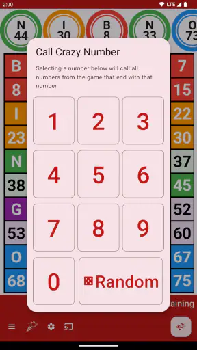 Bingo Caller screenshot
