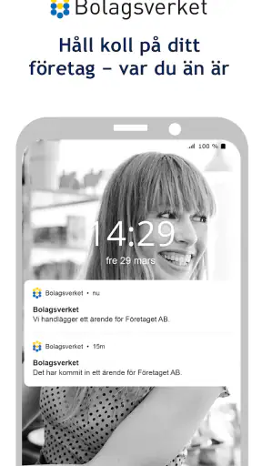 Bolagsverket – håll koll på di screenshot