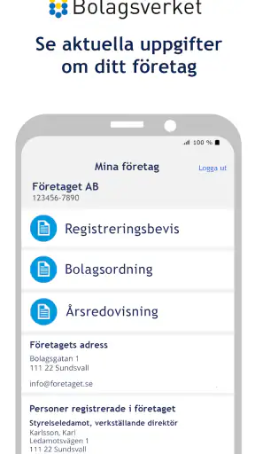 Bolagsverket – håll koll på di screenshot