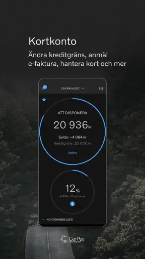 CarPay screenshot