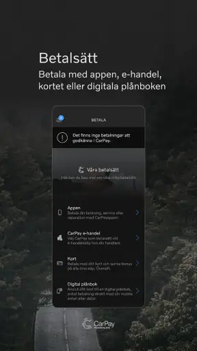 CarPay screenshot