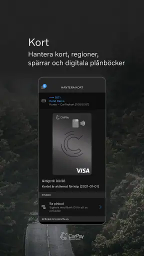 CarPay screenshot