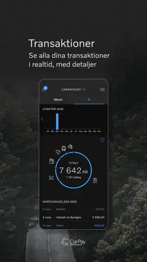 CarPay screenshot