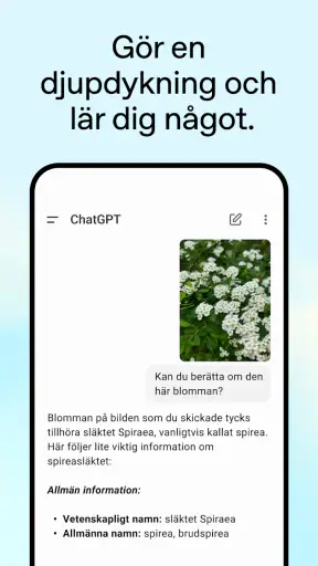 ChatGPT screenshot