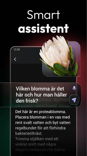 ChatOn – svensk AI-chattbot screenshot