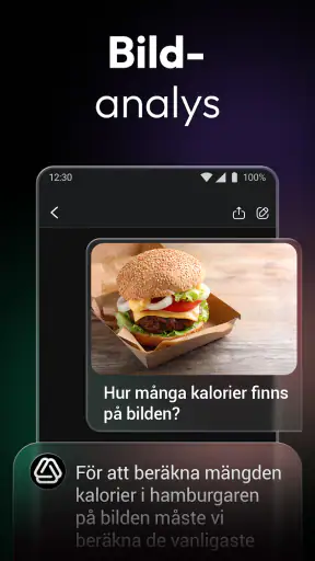ChatOn – svensk AI-chattbot screenshot