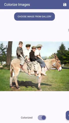 Colorize Images screenshot