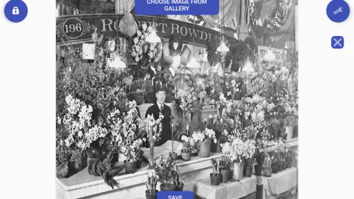 Colorize Images screenshot