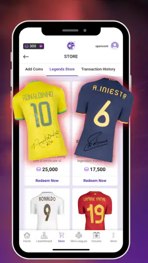 Copa Fantasy screenshot