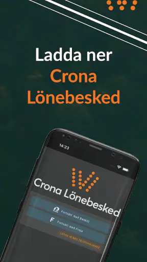 Crona Lönebesked screenshot