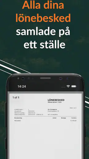 Crona Lönebesked screenshot