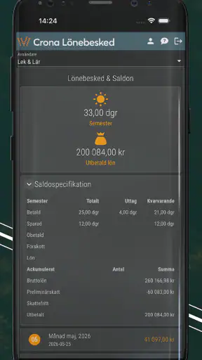 Crona Lönebesked screenshot