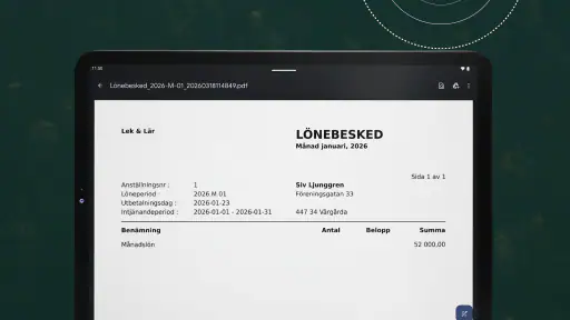 Crona Lönebesked screenshot
