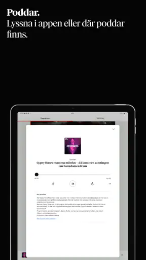 Dagens Nyheter screenshot