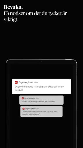 Dagens Nyheter screenshot