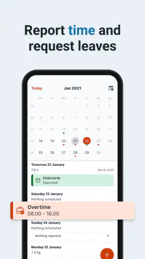 Daily by SD Worx screenshot