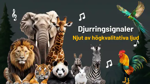 Djur och fåglar ringsignaler screenshot