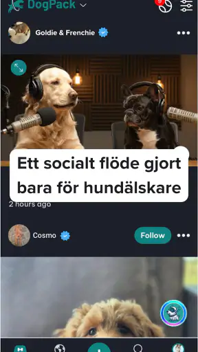 DogPack: Hundparker & Tjänster screenshot