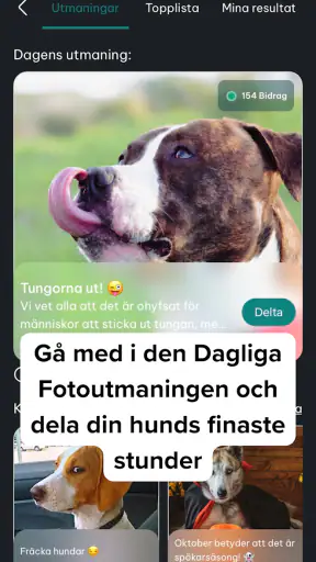 DogPack: Hundparker & Tjänster screenshot