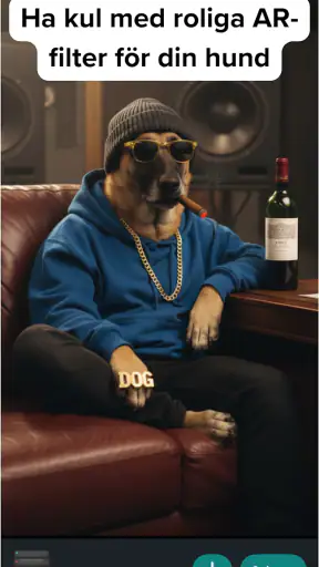 DogPack: Hundparker & Tjänster screenshot