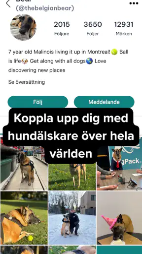 DogPack: Hundparker & Tjänster screenshot
