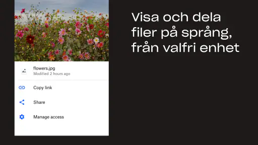 Dropbox: Cloud Drive - Filer screenshot