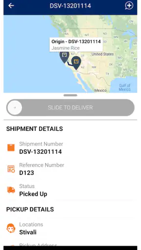DSV DELIVERY screenshot