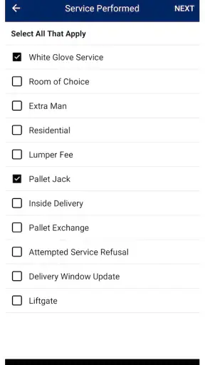 DSV DELIVERY screenshot